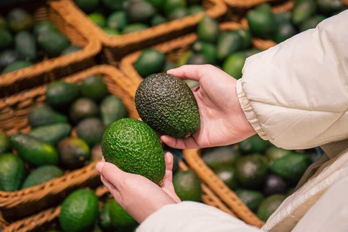 Avocado Price How Much Does an Avocado Cost