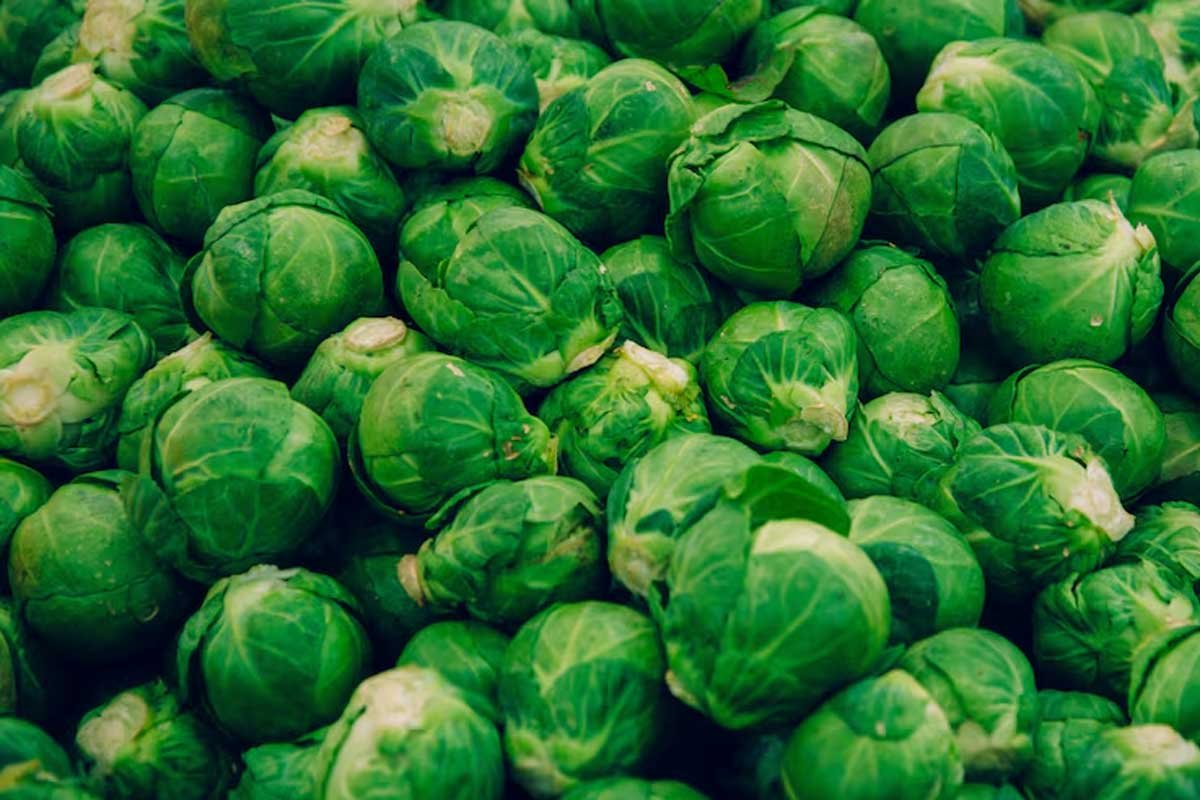 Brussels Sprouts