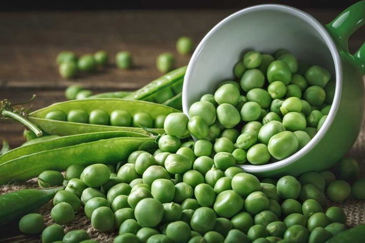 Green Peas