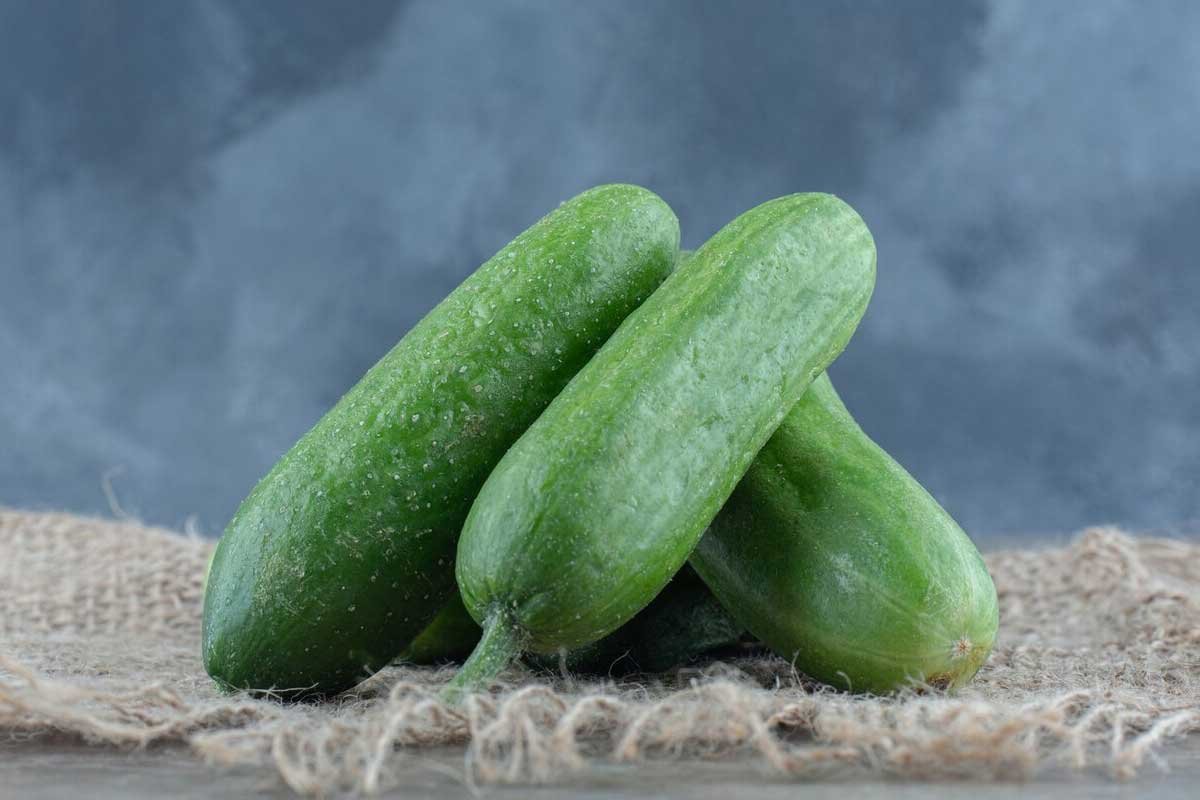 Why Is Cucumber Popular for Weight Loss