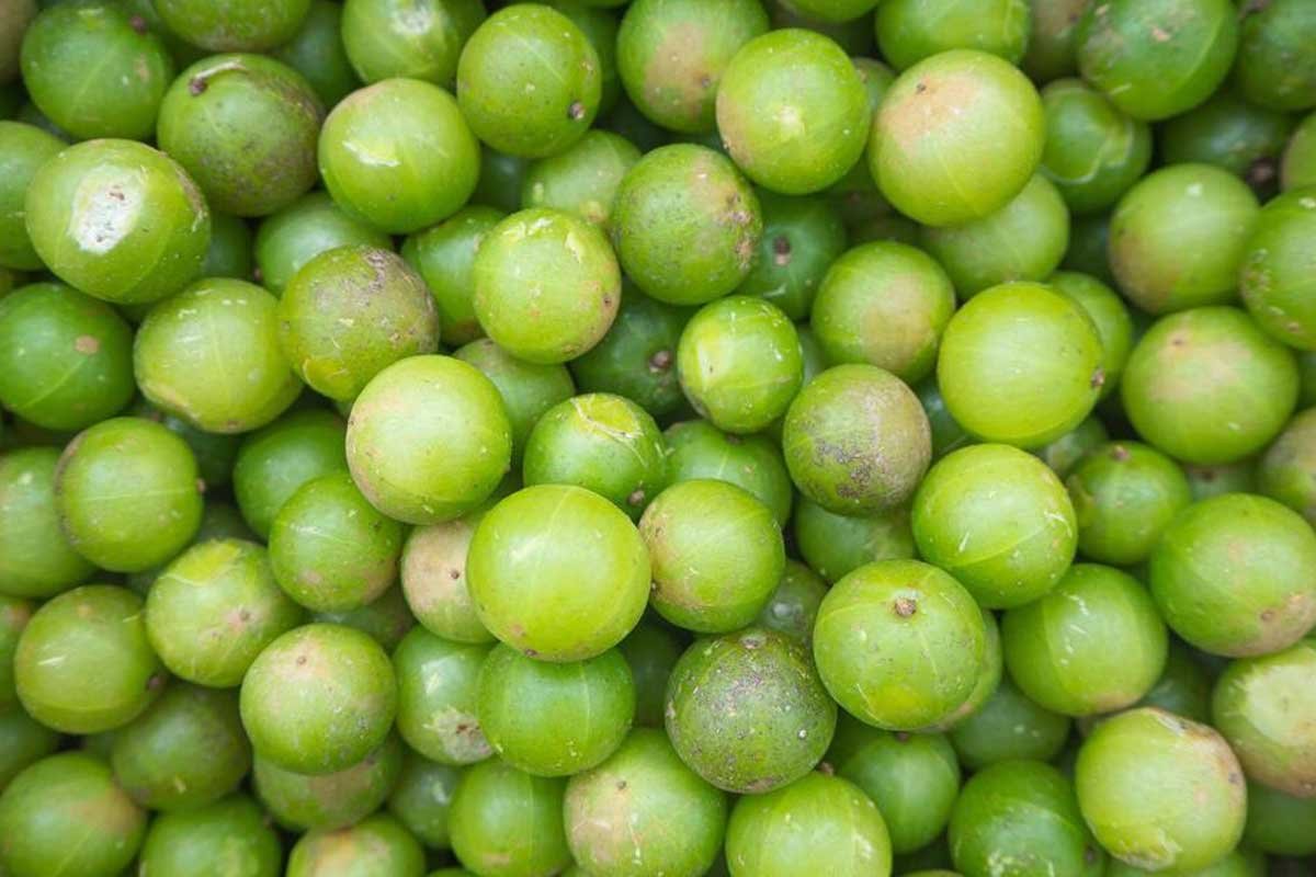 6 Indian Gooseberry Health Benefits