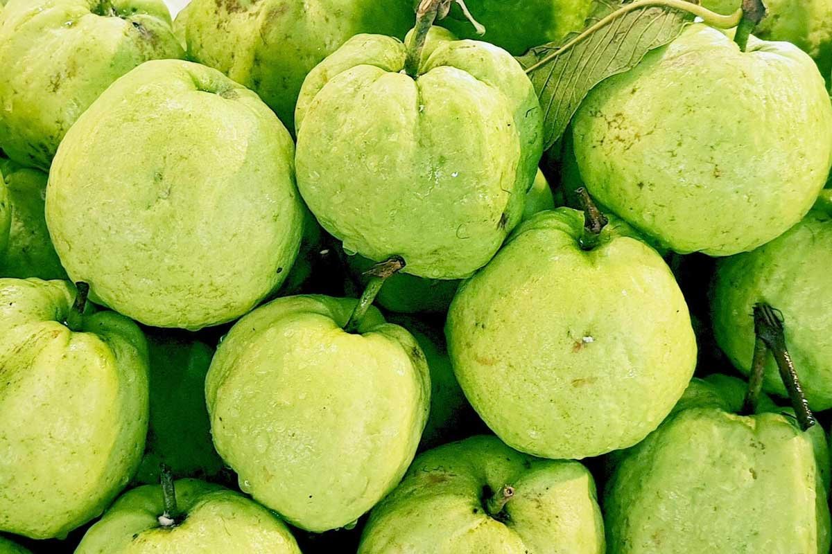 7 Benefits of Guava for Diabetes