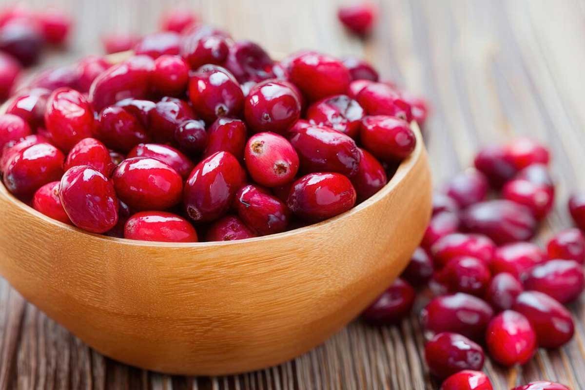 7 Cranberry Health Benefits