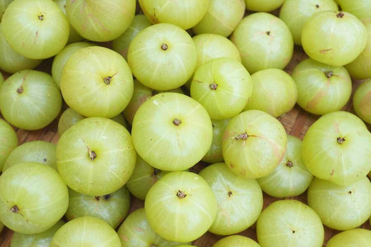Best Ways to Use Indian Gooseberry