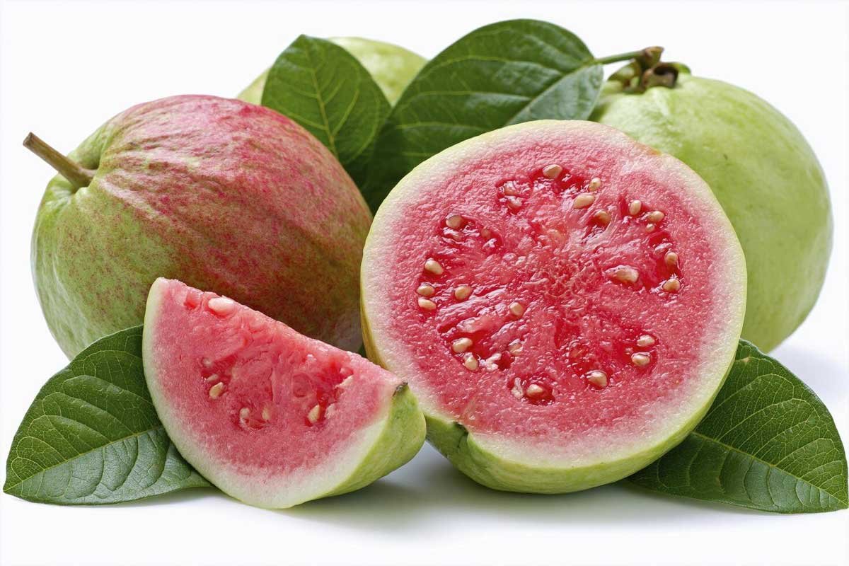 Guava Nutrition