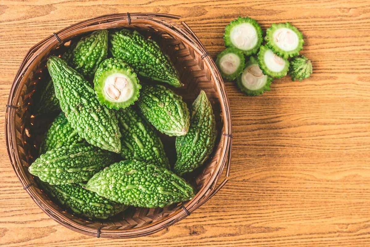 What Is Bitter Gourd
