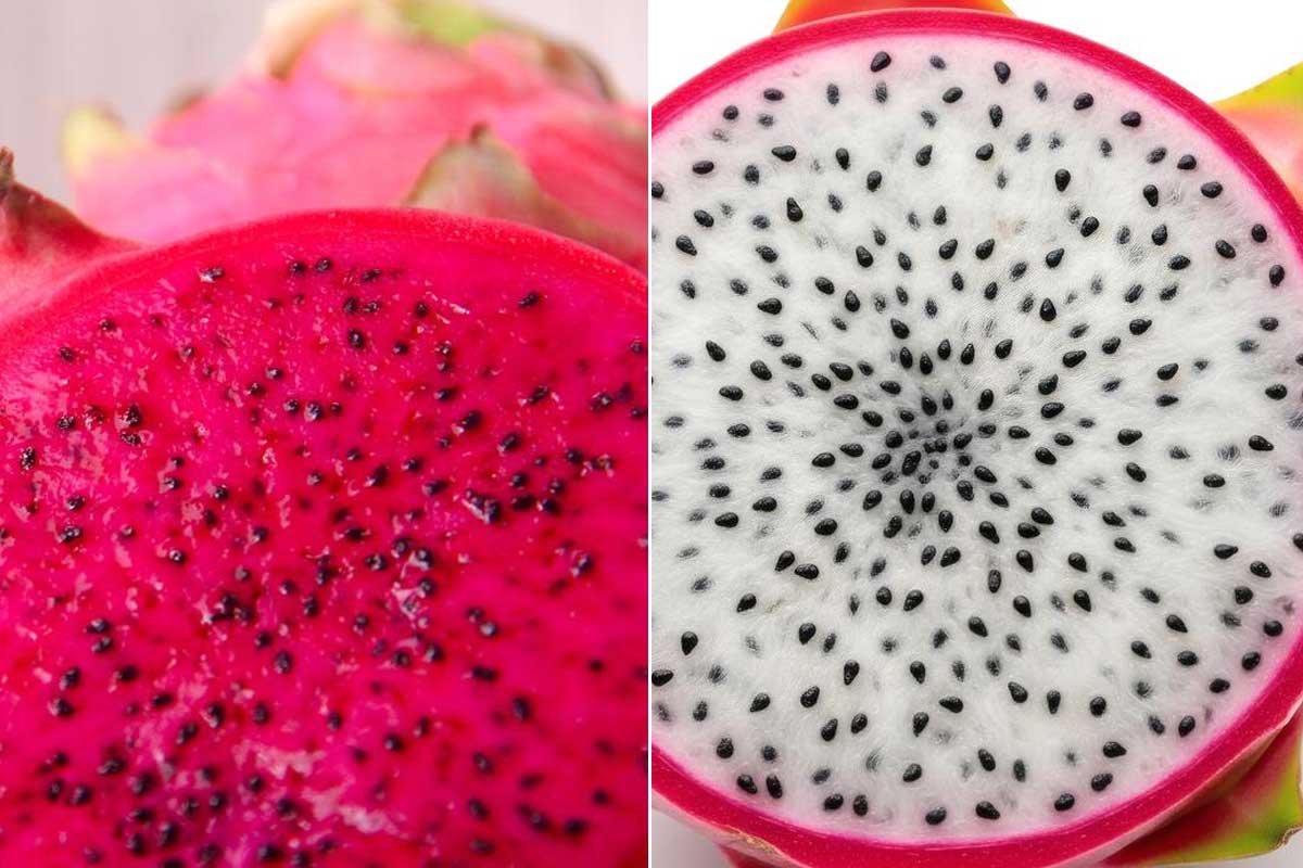 What Makes Red Dragon Fruit Different From White Dragon Fruit