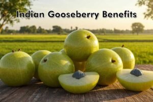 indian gooseberry benefits