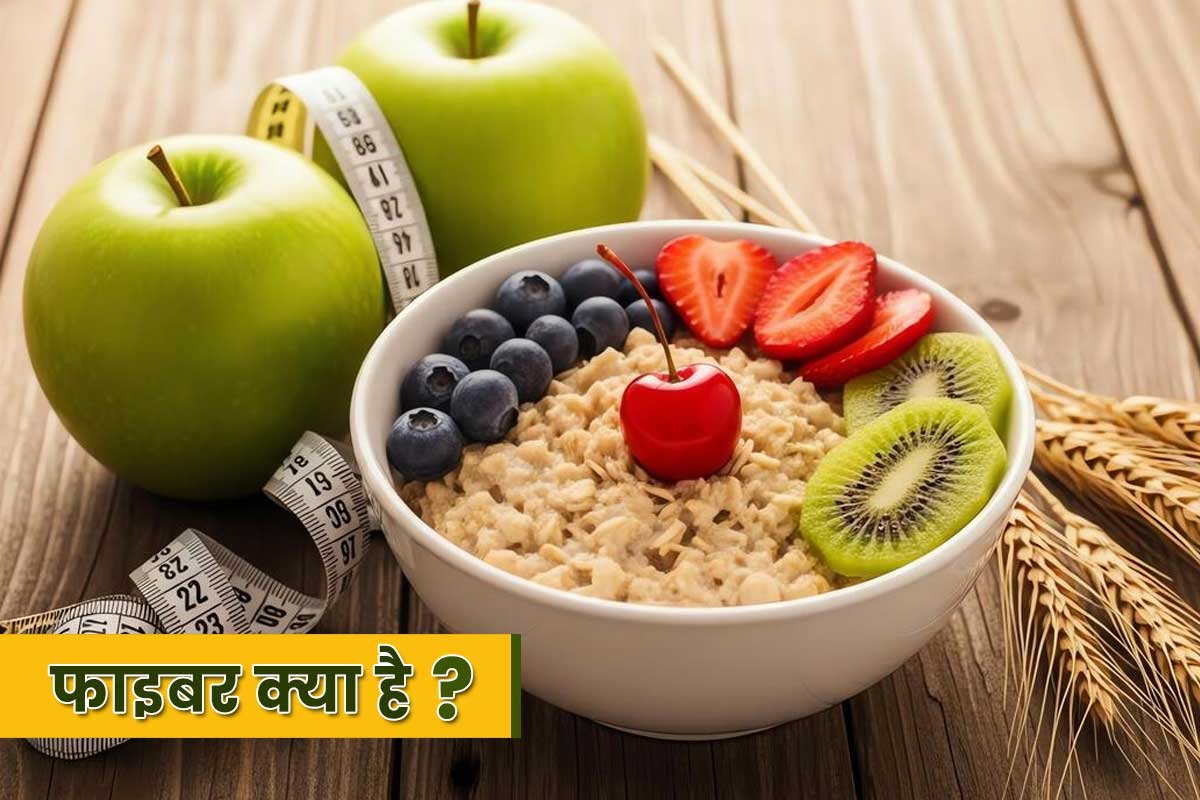 फाइबर क्या है?