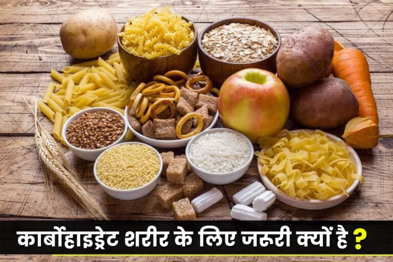 What Are Carbohydrates