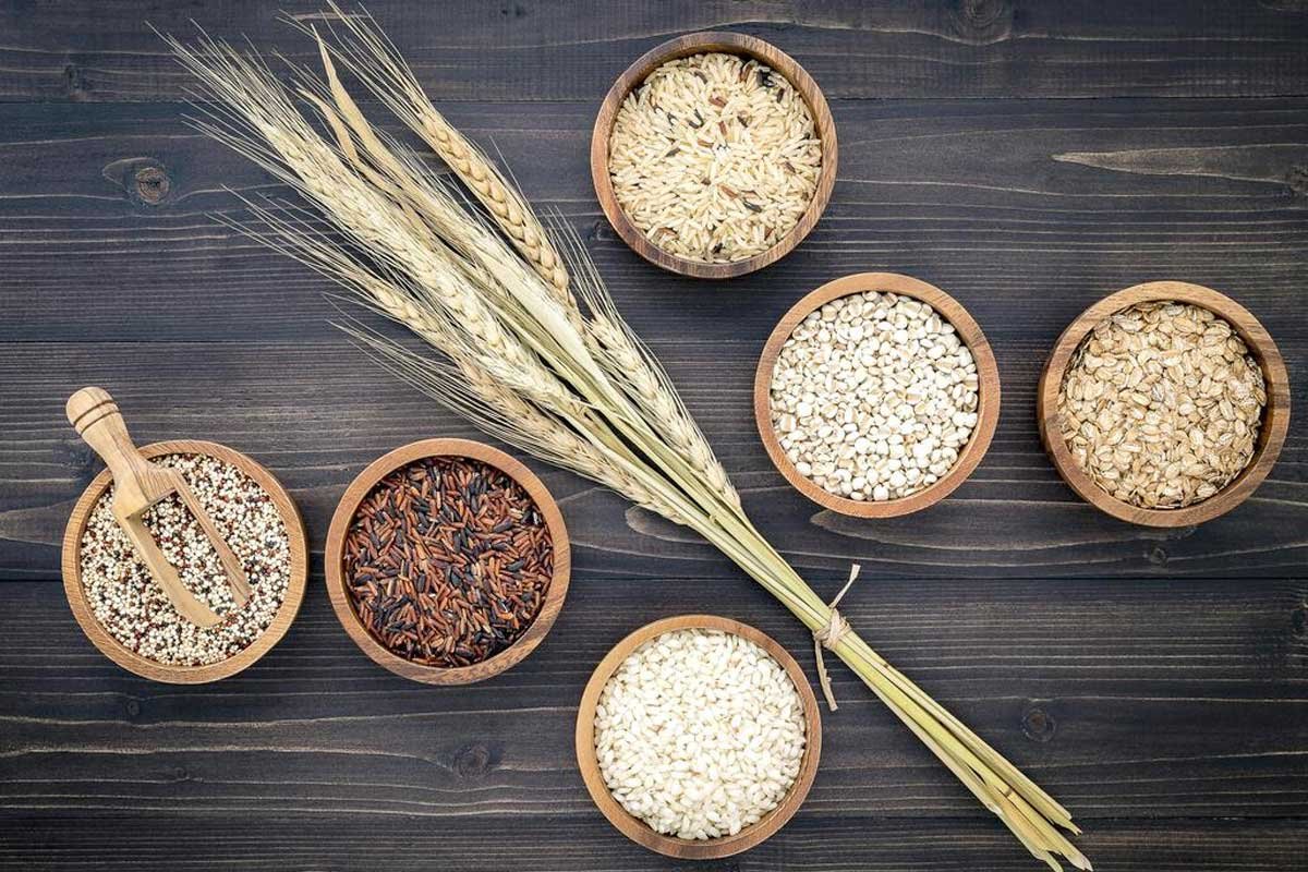 कार्बोहाइड्रेट शरीर के लिए क्यों जरूरी है?